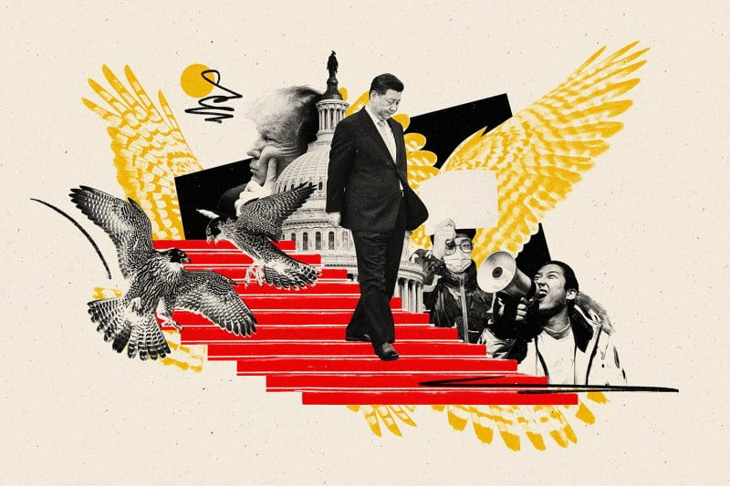 A photo collage illustration shows Chinese leader Xi Jinping walking down red-carpeted stairs. At left are two sparring hawks. Behind him is the US Capitol and Donald Trump with his hand to his face. At lower right are two Chinese protesters.