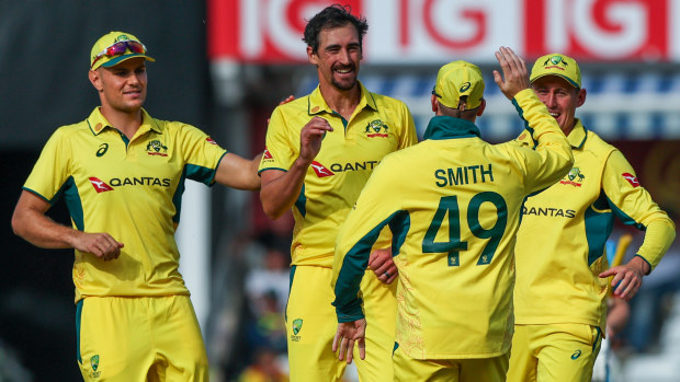 Mitchell Starc celebrates with teammates after taking the wicket of Harry Brook.