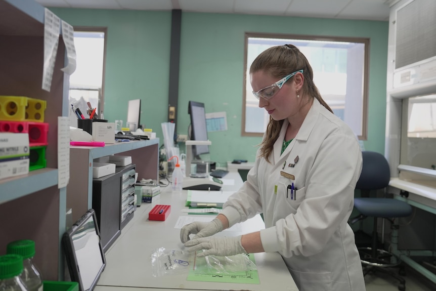 A woman with gloves sealing a plastic sample bag.