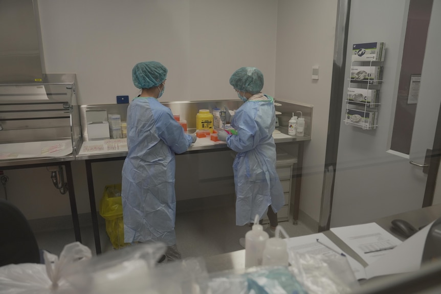 Two people dressed in medical scrubs handle DNA samples, viewed through a glass window.