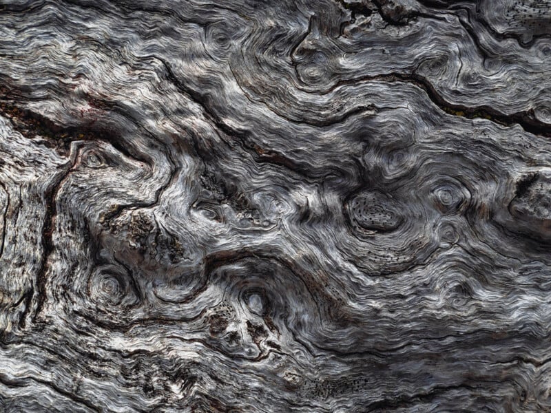 Close-up shot of a highly textured, weathered wooden surface. The intricate, swirling grain patterns and grooves create an abstract, artistic appearance. The wood displays varying shades of gray and natural brown tones.