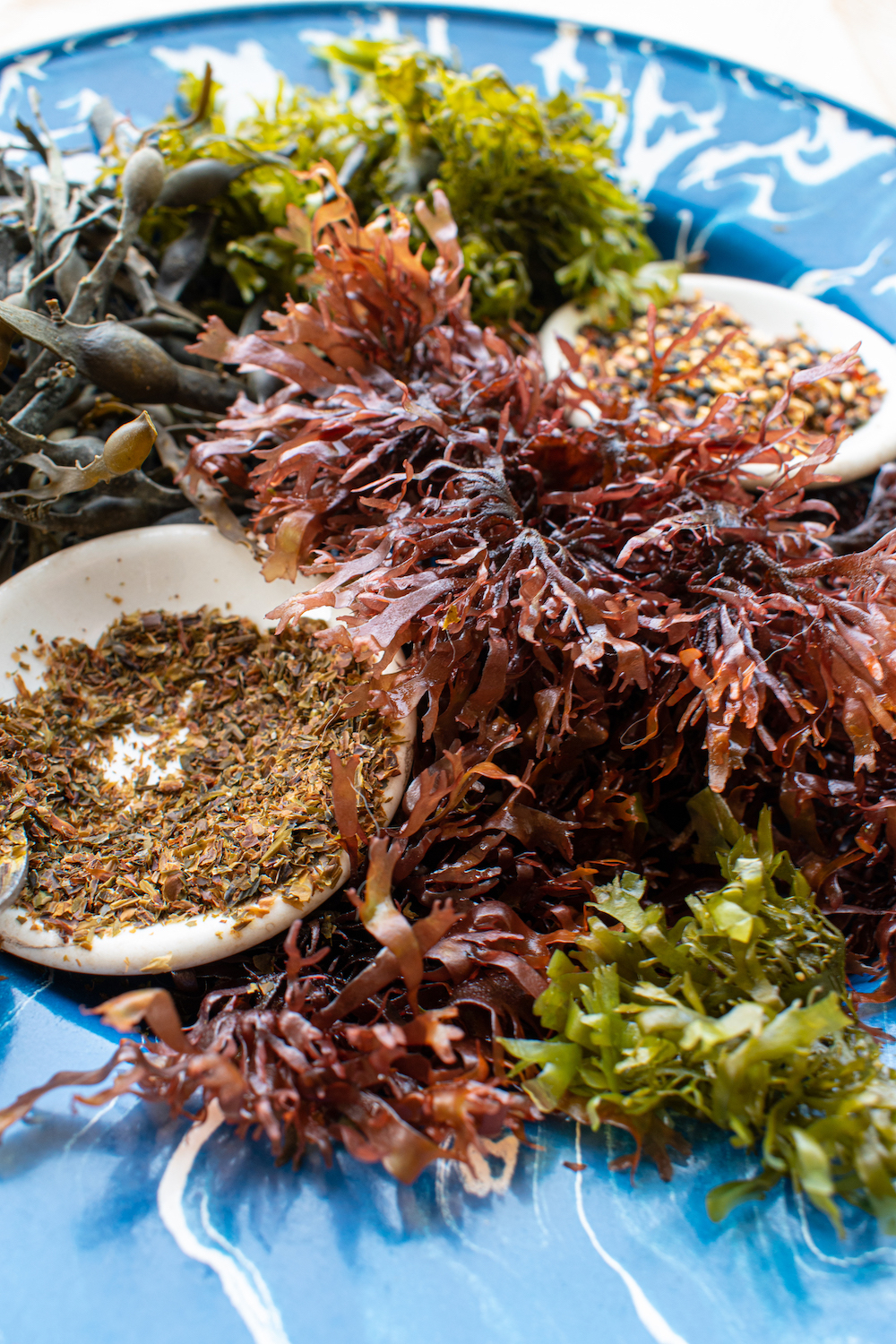 different varieties of seaweed on a plate