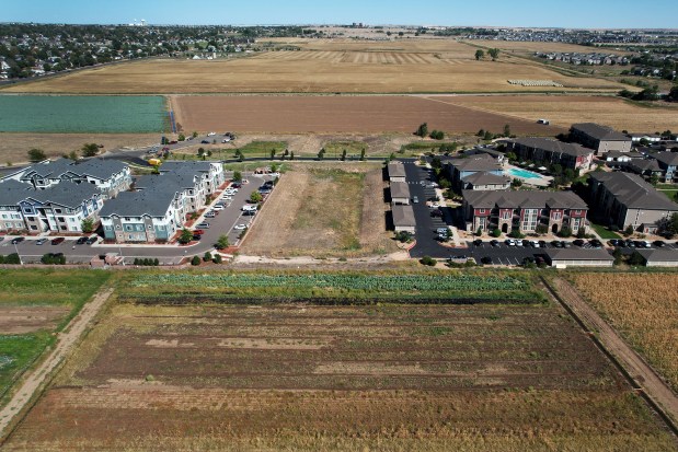 A portion of the Palizzi Farm's land, front, in Brighton, Colorado, on Wednesday, Sept. 18, 2024. A stormwater pipeline is planned to be build between the apartment complex buildings and through the farm's field. (Photo by Hyoung Chang/The Denver Post)