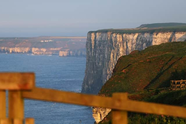 Bempton Cliffs. (Pic credit: Ellen Leach)