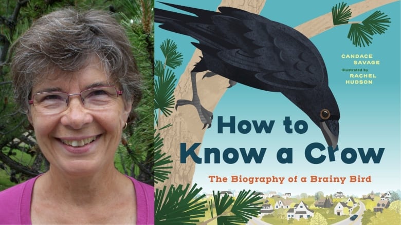 The book cover of How To Know a Crow by Candace Savage, illustrated by Rachel Hudson, showing a crow perched on the branch of a tree. The book's author is also pictured.