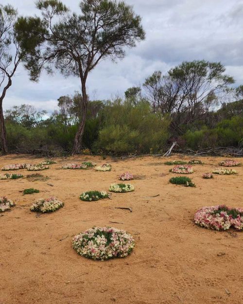 The wreath flowers attract visitors from all over the world.