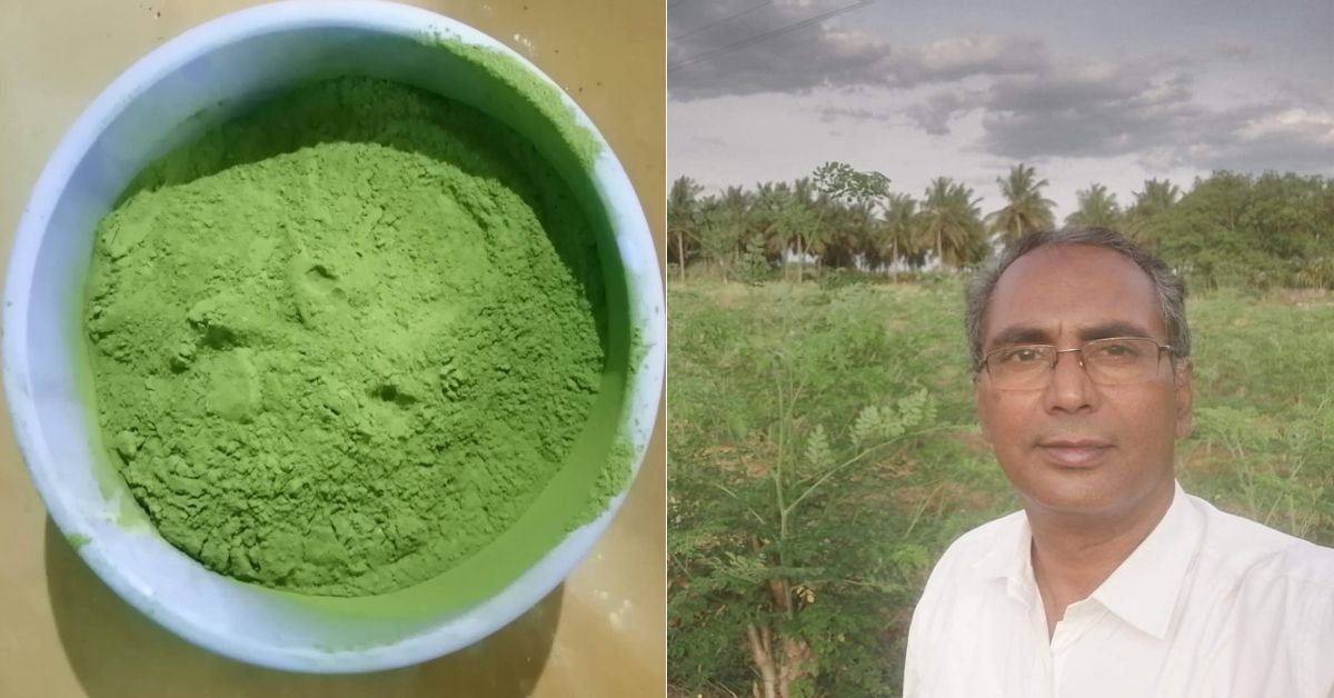 Dr Saravanan processes leaves into value-added products such as moringa podi and leaf soup. 