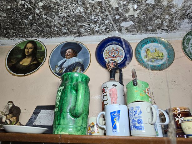 Commemorative plates mounted on the wall of Powell's home in Bristol