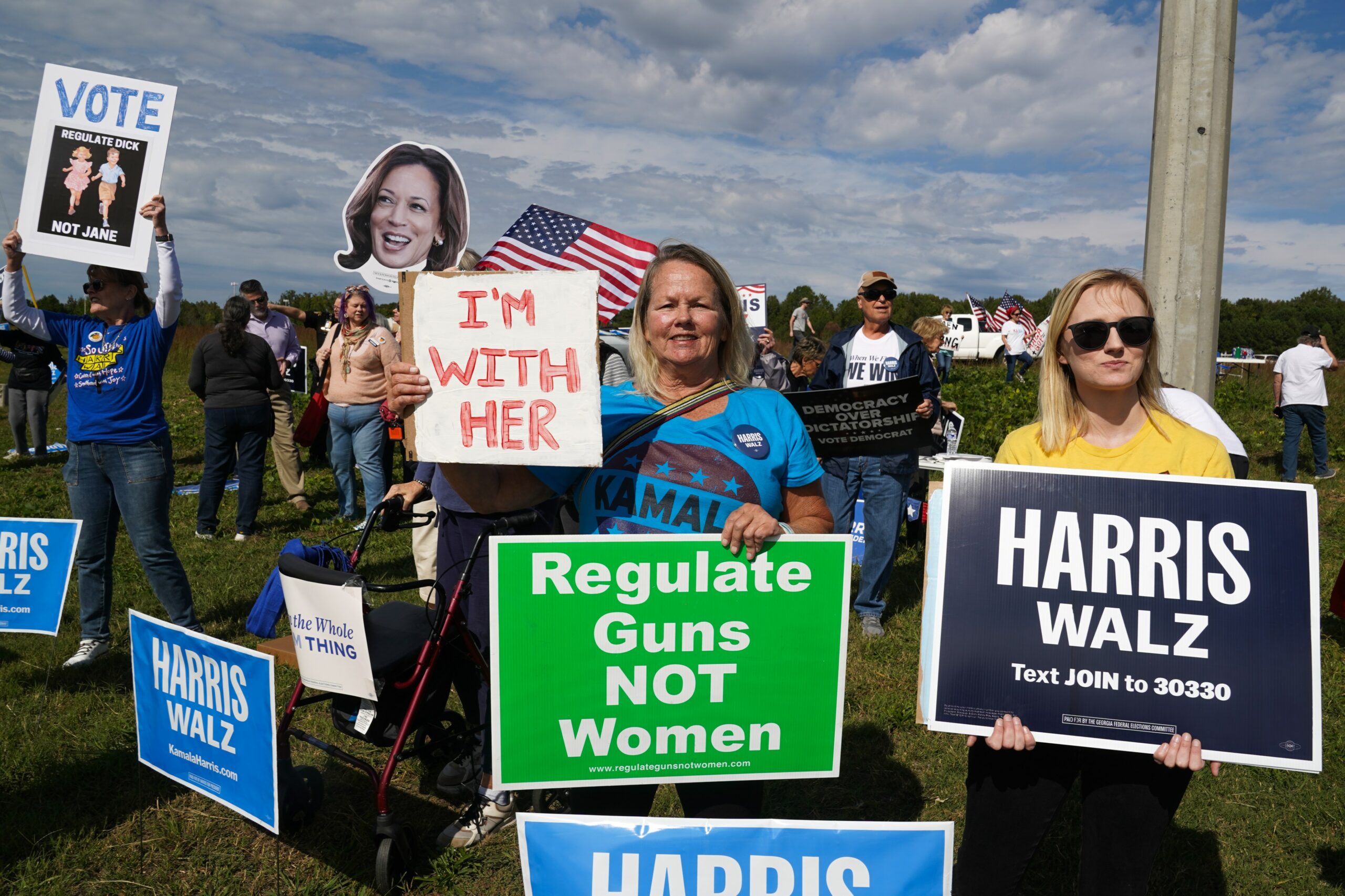 Critics see the Harris campaign as overly feminised