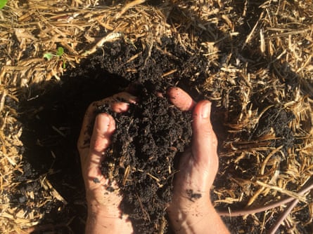 Hands in soil