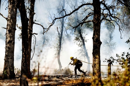 A firefighter works among a scorched landscape.