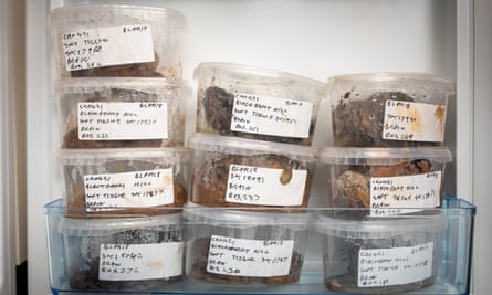 Molecular paleontologist Alexandra Morton-Hayward’s fridge of brains in the lab at the Department of Earth Sciences, Oxford University. Alexandra collects brains from around the world, some are 8000 years old. Photographed 10 October 2024