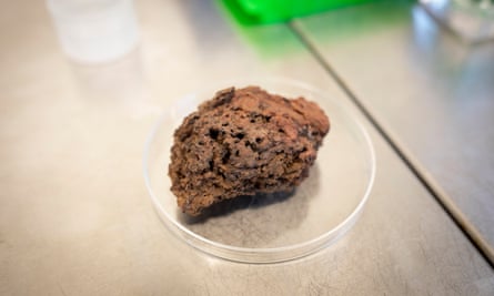 Molecular paleontologist Alexandra Morton-Hayward seen with a brain from the second century in the Department of Earth Sciences, Oxford University. Alexandra collects brains from around the world, some are 8000 years old. Photographed 10 October 2024