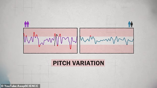 Mitch Moffit, a biologist, and Greg Brown, a science teacher — who are both gay — explored what exactly constitutes a 'gay voice' and what might cause it