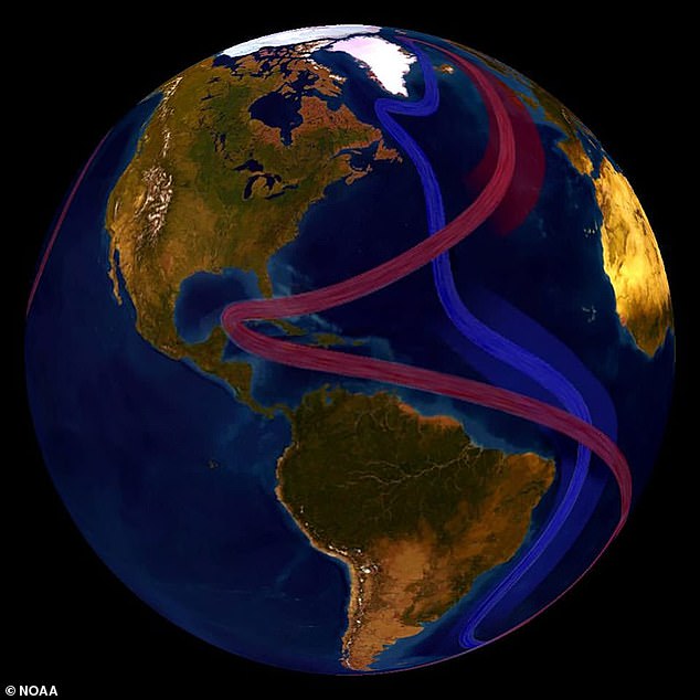 Without the AMOC ocean currents (pictured) the Nordic regions would experience rapid cooling and extreme weather while the Atlantic coast of the US would be hit by 'major' sea-level rises