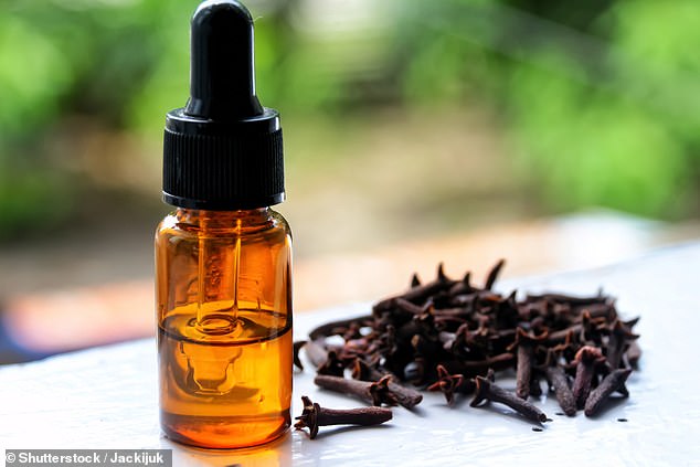 Applying clove oil to a cotton ball is a popular remedy for toothache