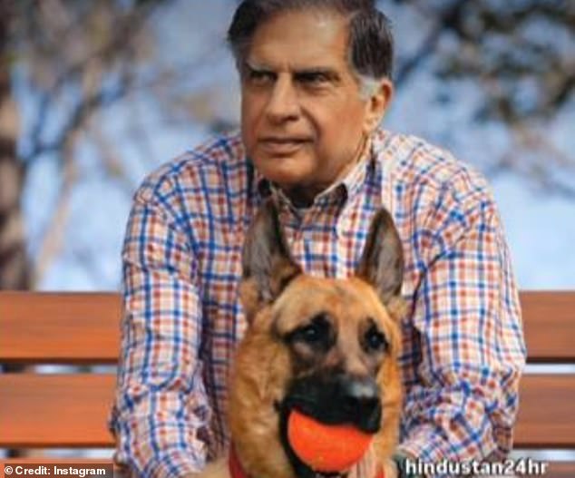 Mr Tata specified that provisions should be put in place to provide 'unlimited care' for his beloved pet, who was by his side when he died