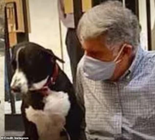 The will is in keeping with Mr Tata's lifelong love of animals, with doormen at the Tata Group's headquarters instructed to never turn away a stray animal (Pictured with his dog, Goa)