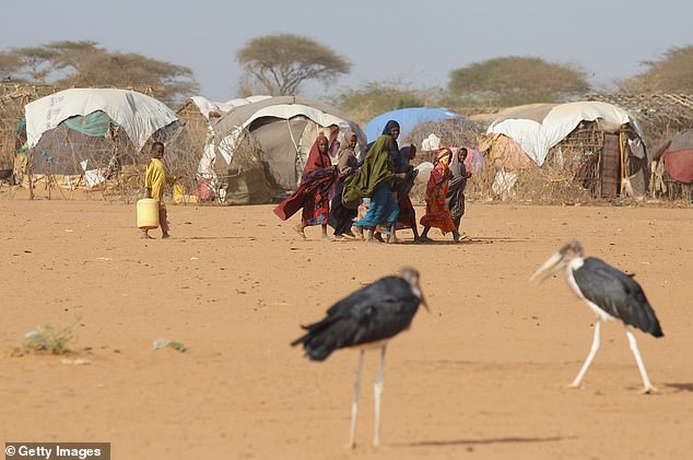 The Somalian drought back in 2011 caused a severe food crisis and killed 258,000 people, World Weather Attribution says