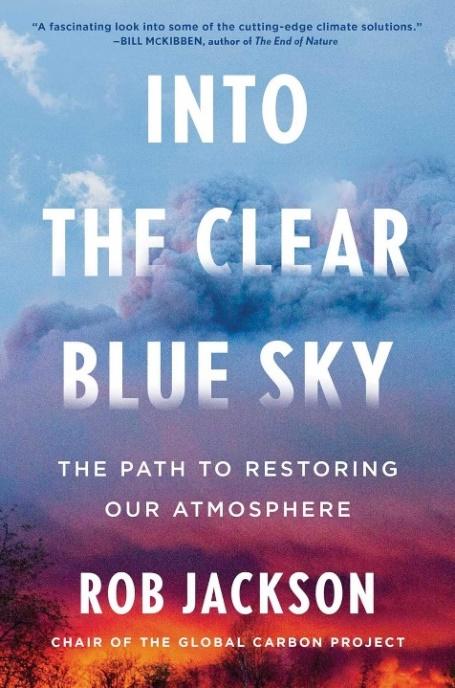 Into the clear blue sky book cover