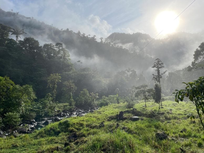 Forest Fragments in Centinela Region