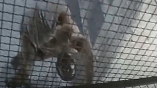 A man crawling upside down on a ceiling fence in Jacob's Ladder