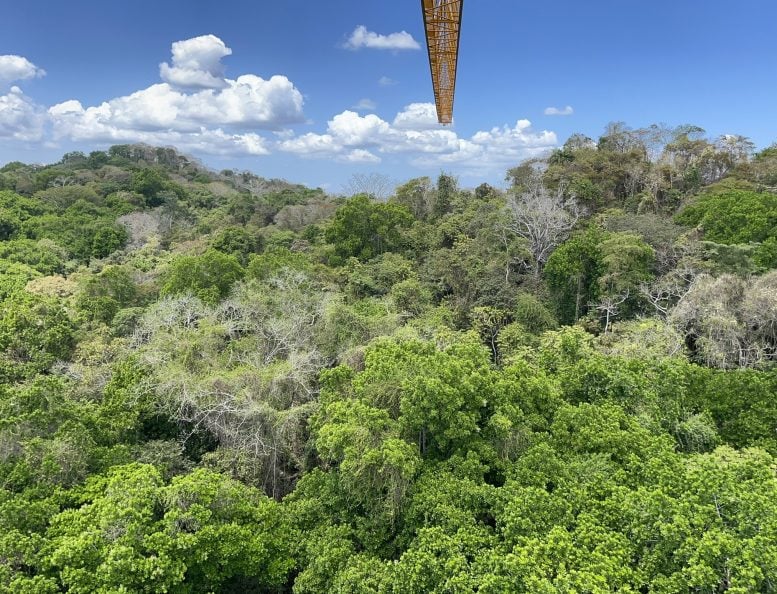 NGEE Tropics Observation Platform