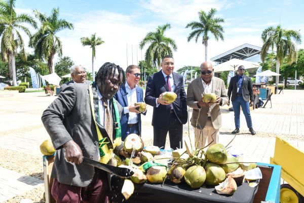 Major Push Underway to Boost Jamaica’s Image as a Tourist Destination