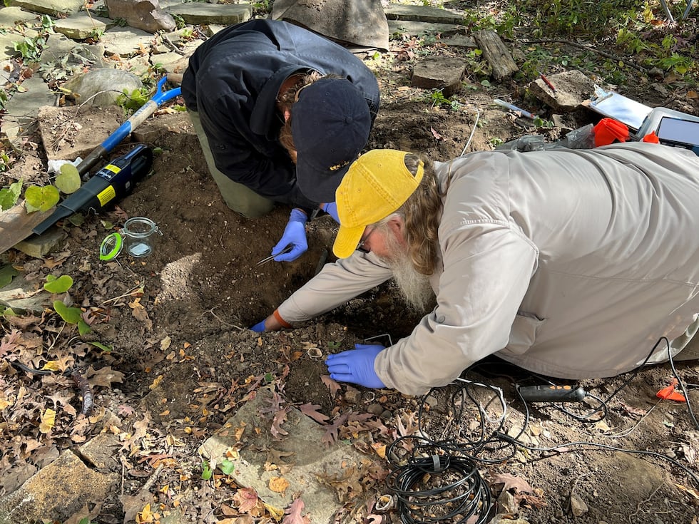 A Johnson County Conservation staff member says they discovered an endangered species of bee...