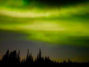 The northern lights in Churchill, Manitoba. (Courtesy of Fred Perrin)