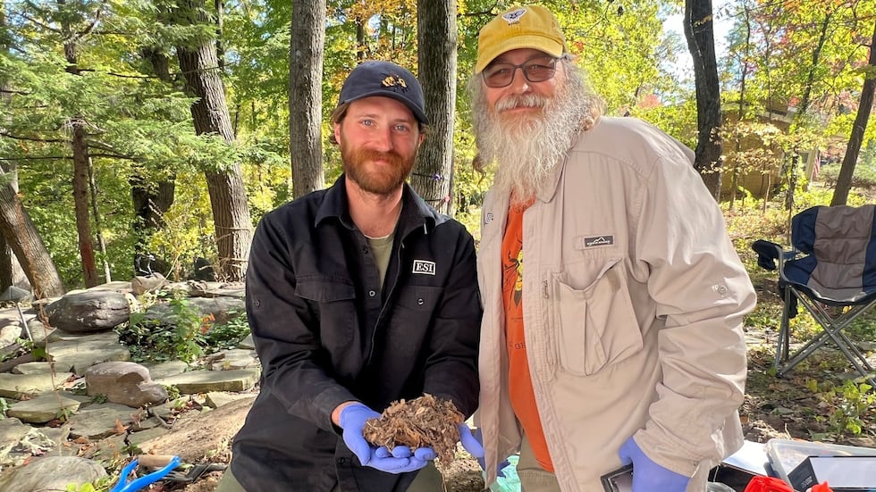 A Johnson County Conservation staff member says they discovered an endangered species of bee...