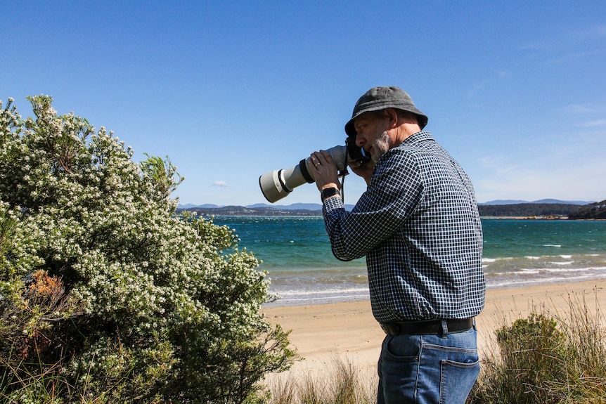 A man holds a camera with a very long lens pointed at a small bush.