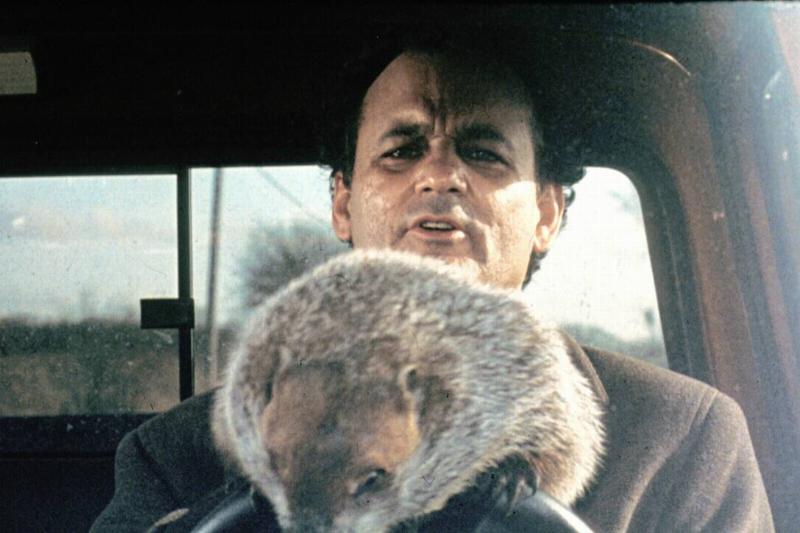 groundhog-day