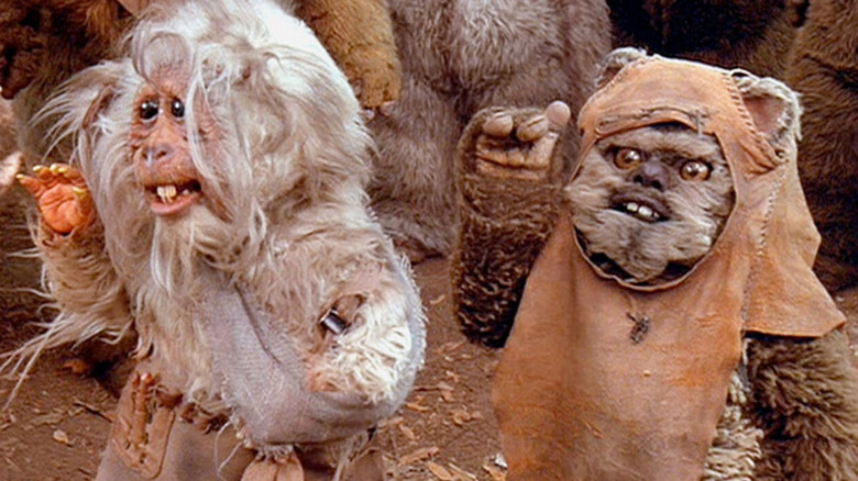 Ewoks: The Battle for Endor, Teek, Wicket