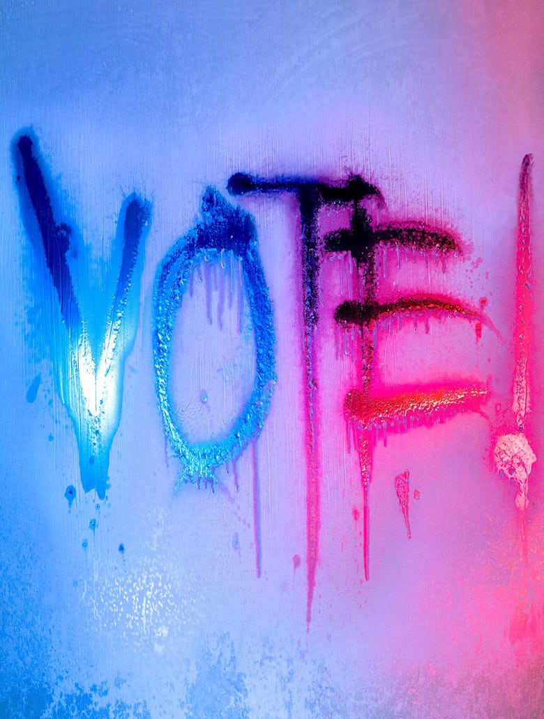 Voter poster by Marilyn Minter