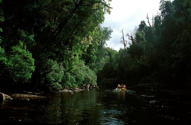 The incident happened at Franklin River