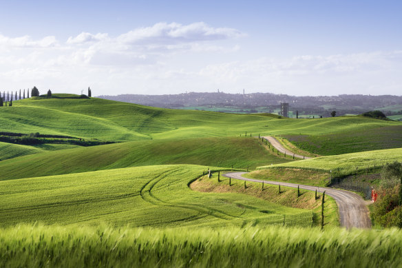 Through the fields near Siena on the Francigena.