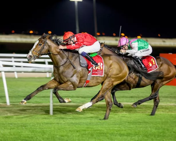 Spirit Dancer: showed signs of colic when due to fly home