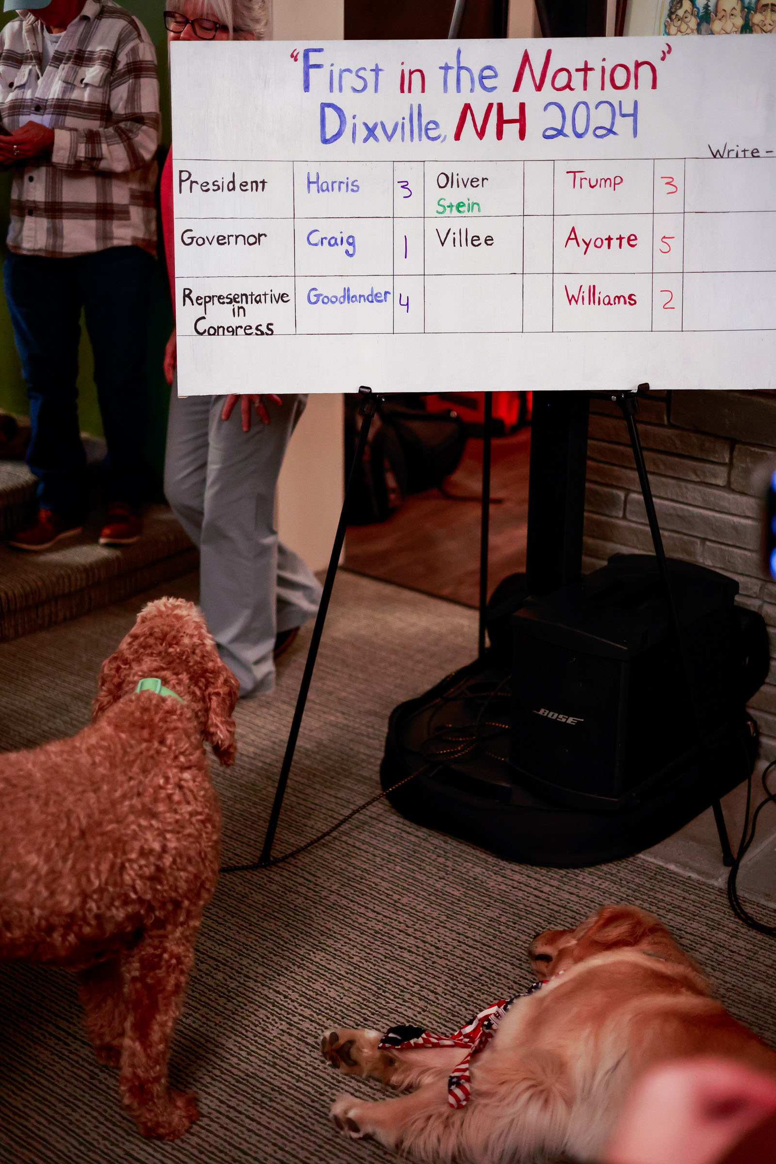 Dogs brought to the polling location in Dixville Notch, N.H., the tiny town that hosts a traditional first-in-the-nation vote, just after midnight on Election Day, Tuesday, Nov. 5, 2024. (Ryan David Brown/The New York Times)