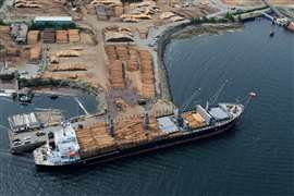 Aerial view of a softwood lumber mill in Canada (Image: Adobe Stock)