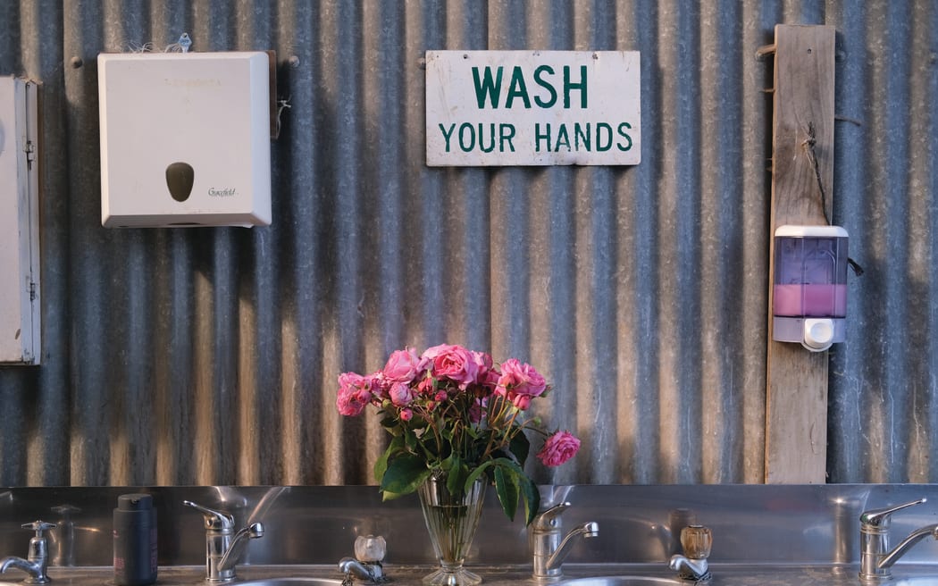 Roses add a softening touch to even the most utilitarian of places - in this case, the sinks outside the staffroom. 