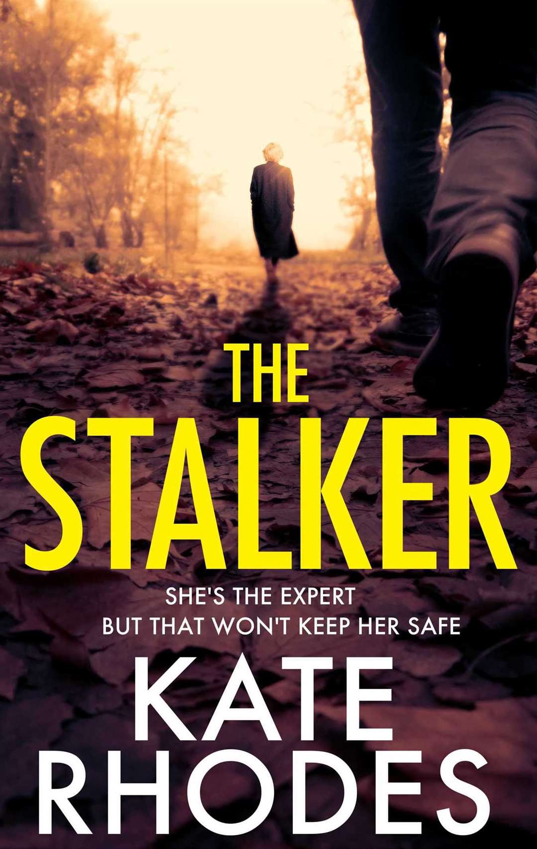 The Stalker by Kate Rhodes