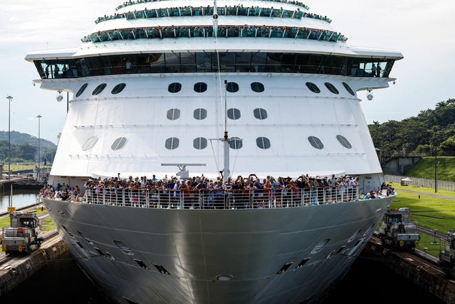 Domestic and international cruise bookings are up 20% in 2024 compared to last Thanksgiving.