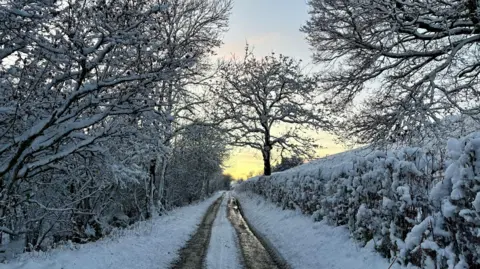 Olga | BBC Weather Watchers a snow covered country lane. The trees, hedgerows and verges on either side of the road are blanketed in snow. the road has two tracks where tyres of vehicles has melted the snow into two dark lines that run to the top of the picture where the sun is setting in a yellow sky. 