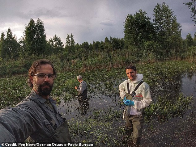 In the absence of human activity, biodiversity within Chernobyl's exclusion zone flourished