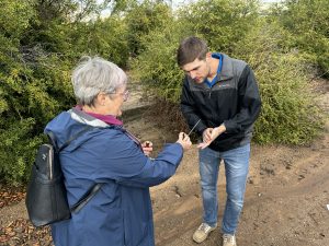 UF Ph.D. candidate Lukas Hallman interacts with a researcher in a California citrus grove 