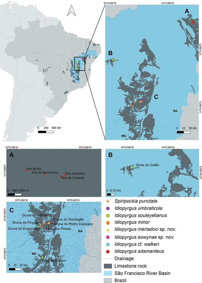 Distribution Map of Idiopyrgus spp.