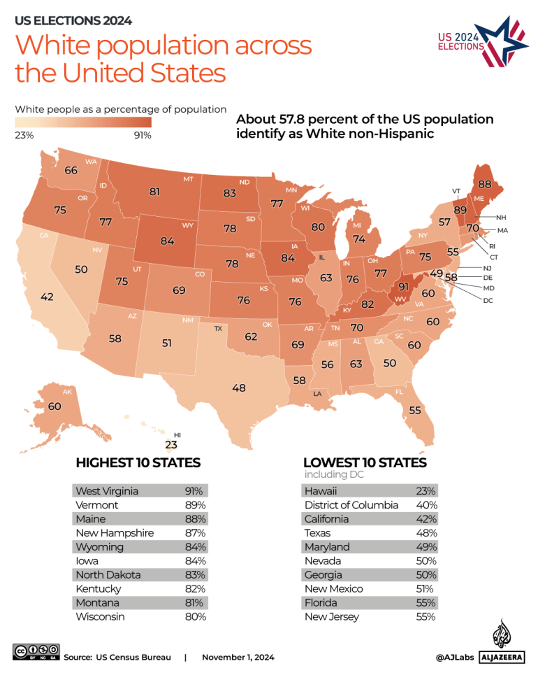 INTERACTIVE-US-ELECTION-Population of people who identify as white -OCT14-2024-1730614058