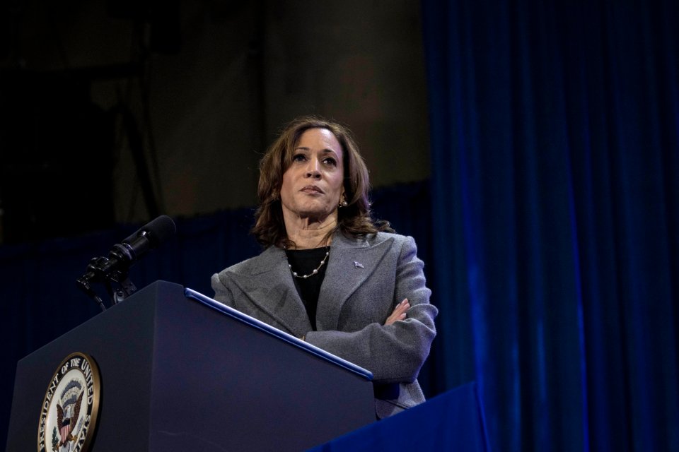 Vice President Kamala Harris appears to have lost the presidential election