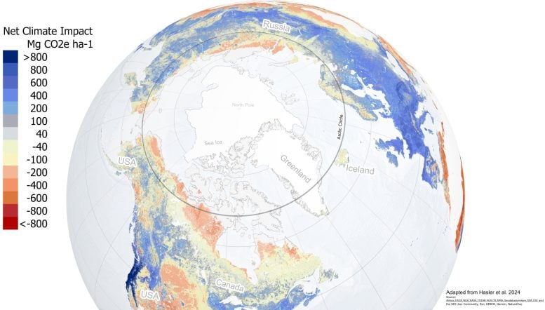 Net Climate Impact of Tree Planting Across the Northern Circumpolar Region